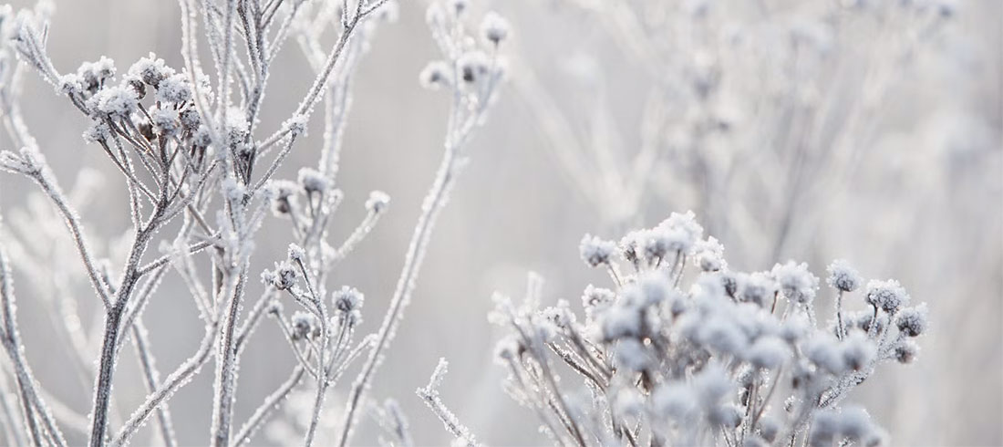Pet trikova kako pronaći sreću u najdepresivnijem mjesecu u godini