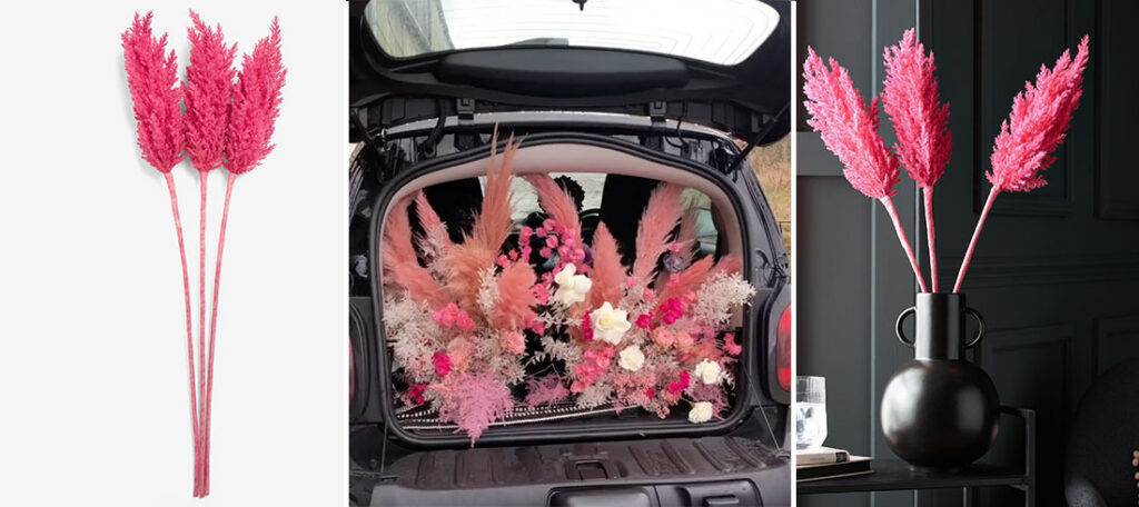 Ružičasta pampas trava je najatraktivniji proljetni home dekor!