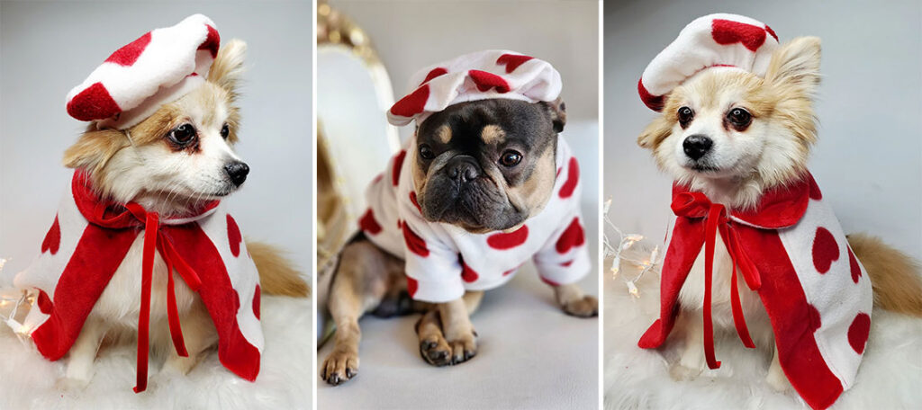 Valentinovo outfiti za vašeg ljubimca izgledaju preslatko